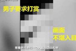 91 河南 滴滴直播,揭秘91号平台的直播魅力